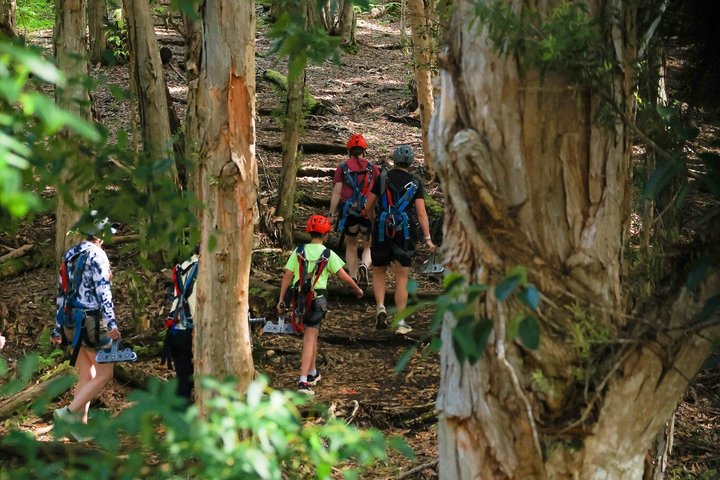 Koloa Zipline in Kauai