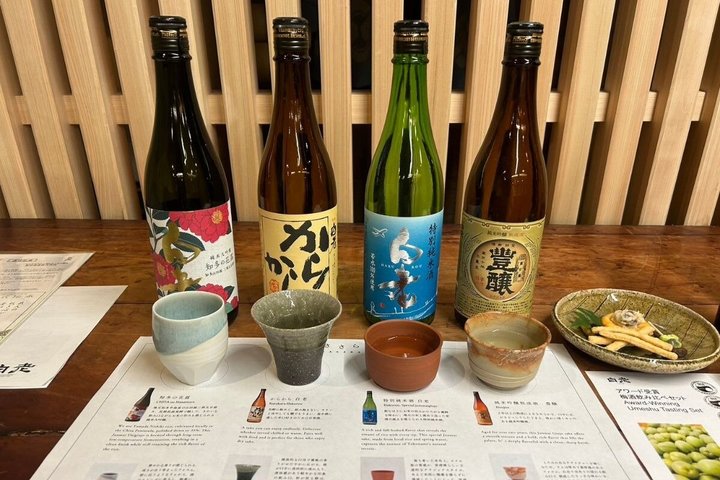 Sake Tasting Experience with Nagoya Brewery Tour
