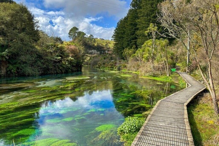 From Hamilton Waitomo Glowworms Blue Springs and Kiwi House