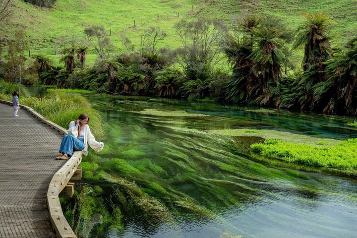 From Hamilton Waitomo Glowworms Blue Springs and Kiwi House