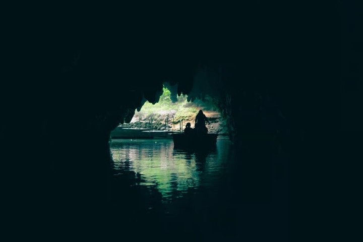 From Hamilton Waitomo Glowworms Blue Springs and Kiwi House