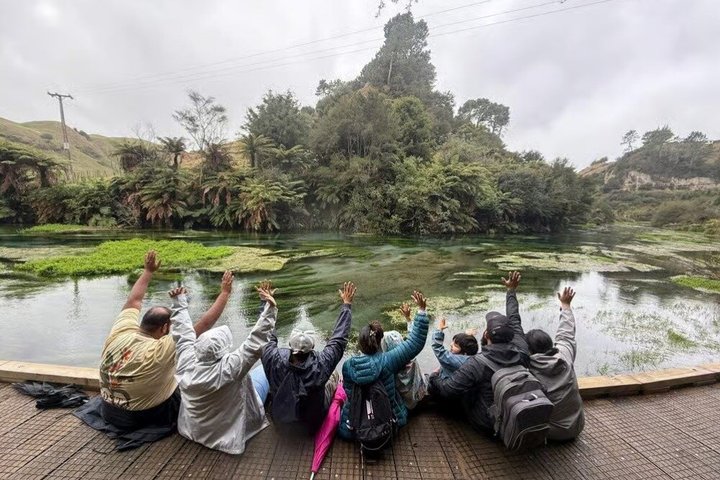From Hamilton Waitomo Glowworms Blue Springs and Kiwi House