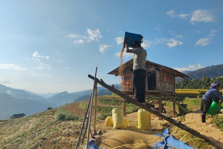 Full Day Private Trekking Mu Cang Chai