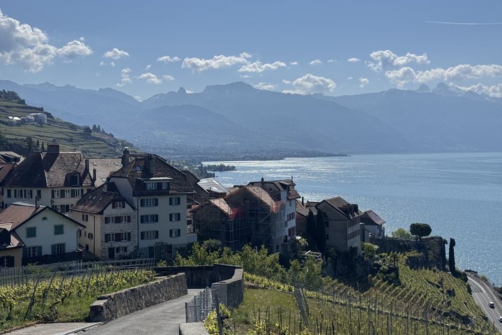 Private Lavaux Vineyard Tour with Wine Tasting and Scenic Views