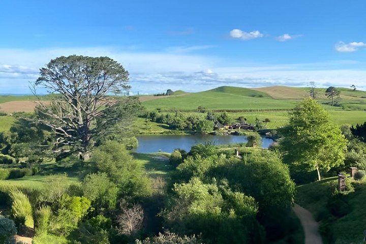 From Hamilton Hobbiton Waitomo Caves Small Group Tour
