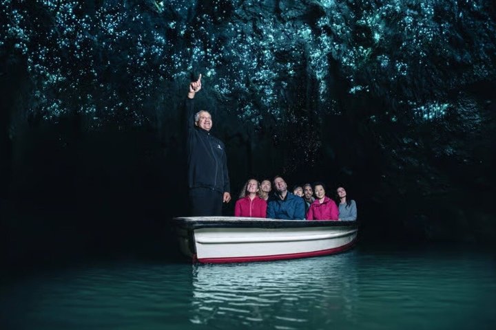 From Hamilton Hobbiton Waitomo Caves Small Group Tour