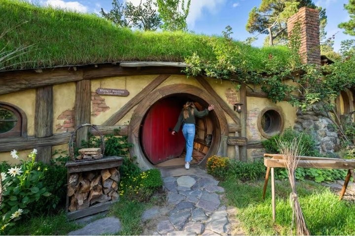 From Hamilton Hobbiton Waitomo Caves Small Group Tour