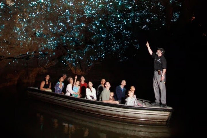 From Hamilton Hobbiton Waitomo Caves Small Group Tour