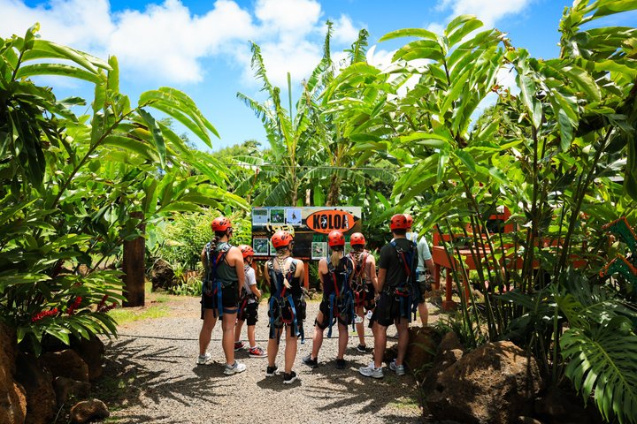Koloa Zipline in Kauai