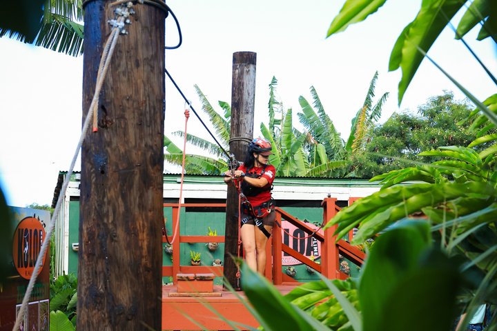 Koloa Zipline in Kauai