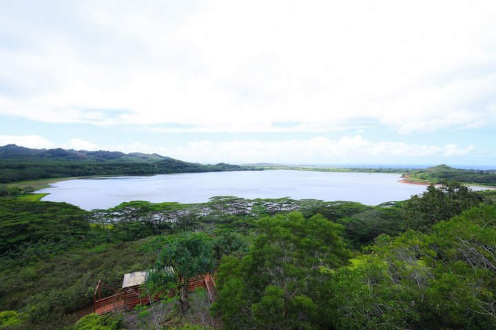 Koloa Zipline in Kauai