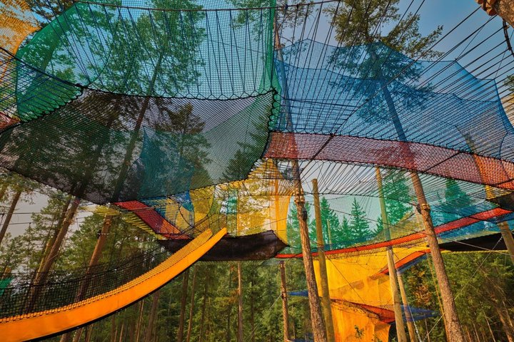 Admission Ticket to Golden Skybridge