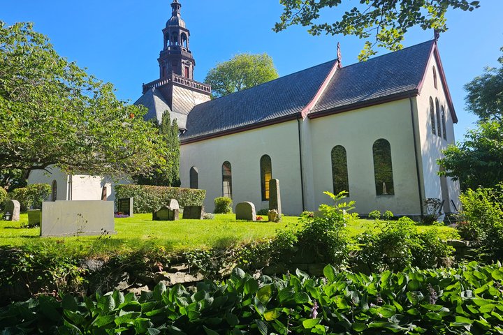 Ålesund Shore Excursion and 6 beautiful highlight stops minibus