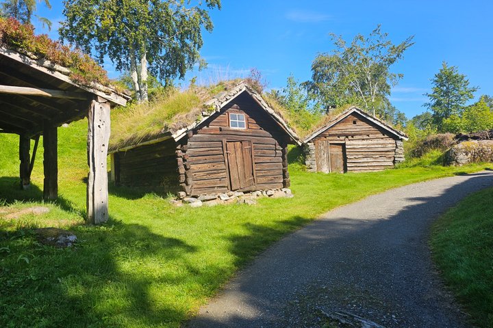 Ålesund Shore Excursion and 6 beautiful highlight stops minibus