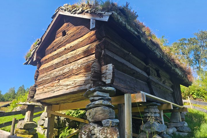 Ålesund Shore Excursion and 6 beautiful highlight stops minibus