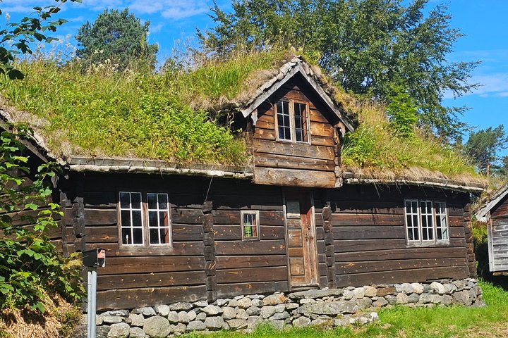 Ålesund Shore Excursion and 6 beautiful highlight stops minibus