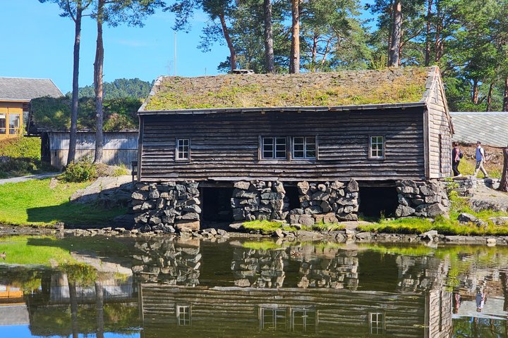 Ålesund Shore Excursion and 6 beautiful highlight stops minibus