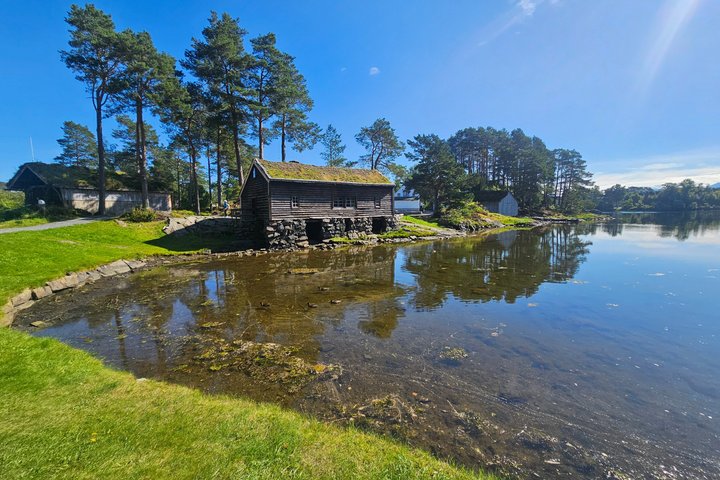Ålesund Shore Excursion and 6 beautiful highlight stops minibus