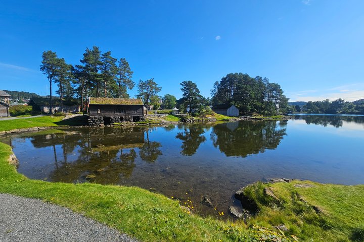 Ålesund Shore Excursion and 6 beautiful highlight stops minibus