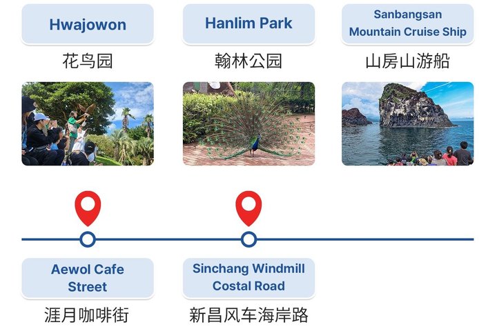Jeju Island Popular Sightseeing Private Car Charter Tour 5/9hours