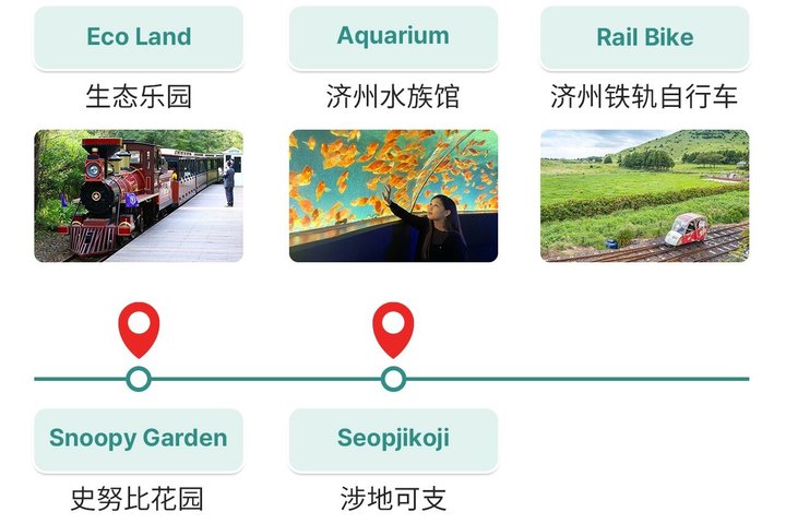 Jeju Island Popular Sightseeing Private Car Charter Tour 5/9hours