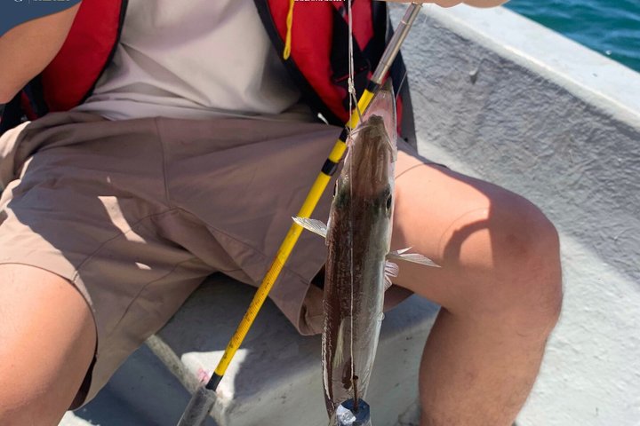 Kota Kinabalu 3 Hour Coastal Fishing and Island Tour