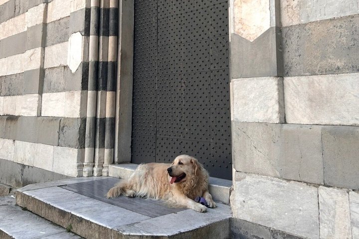 Genoa Food, Wine Tasting & History Walking Tour