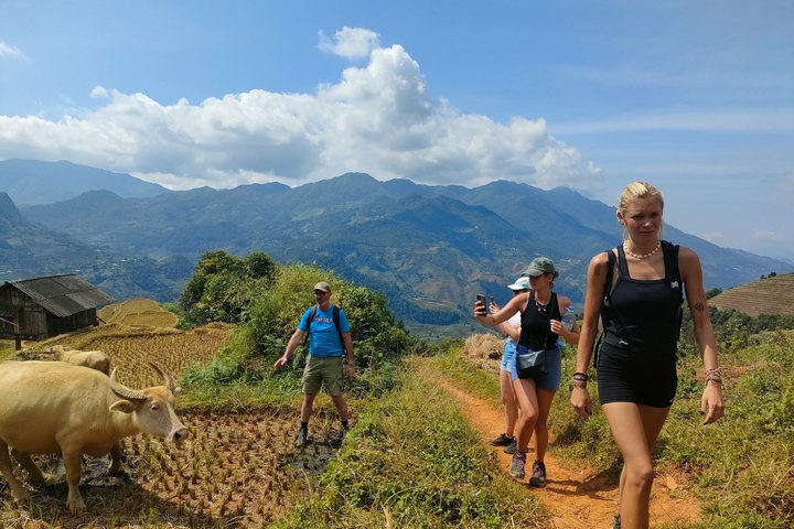 Half Day Private Trekking Mu Cang Chai_Morning or Afternoon