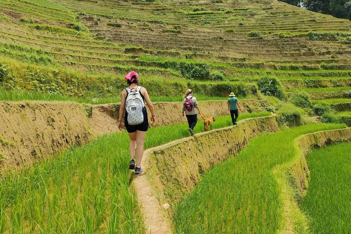 Half Day Private Trekking Mu Cang Chai_Morning or Afternoon