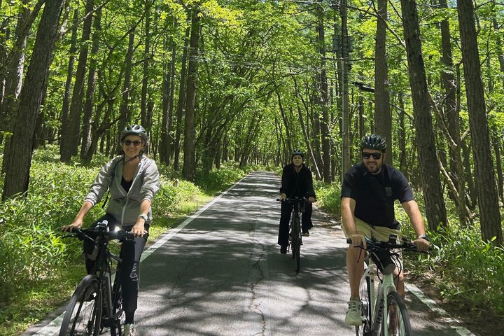 Nikko: Kegon Falls & Lake Chuzenji 3-Hour E-Bike Tour