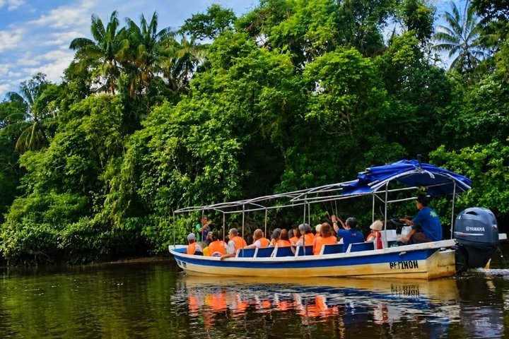 Borneo (Klias) River Cruise & Fireflies Tour