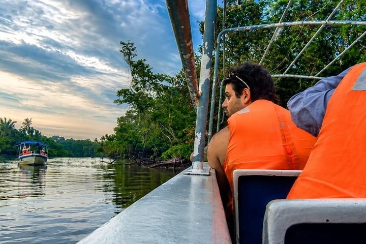 Borneo (Klias) River Cruise & Fireflies Tour