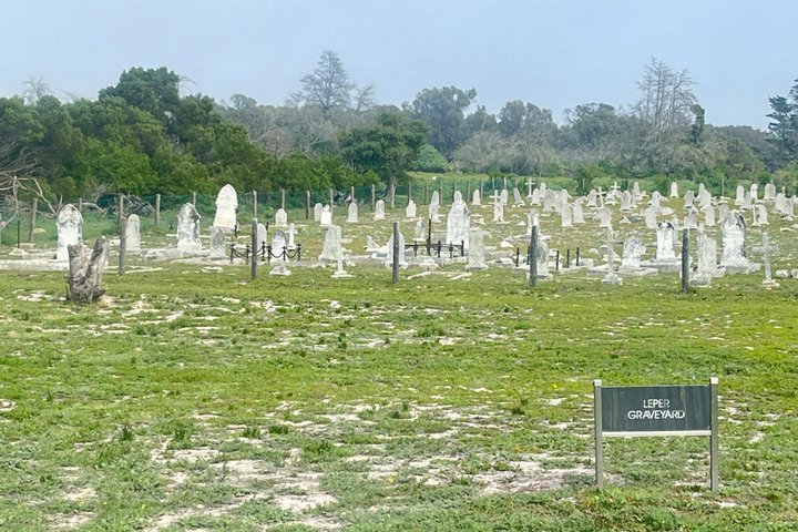 Robben Island Half Day Tour with Pre-Booked Ticket from Cape Town