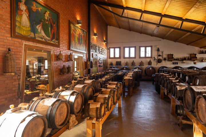 Cavedoni Balsamic Vinegar Tour: The Oldest in Modena