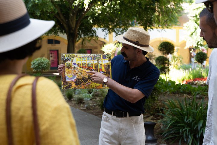 In the footsteps of Van Gogh in Provence from Avignon