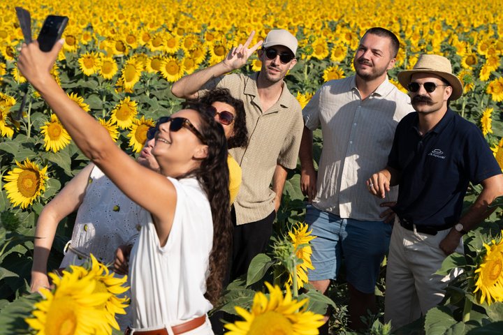 In the footsteps of Van Gogh in Provence from Avignon
