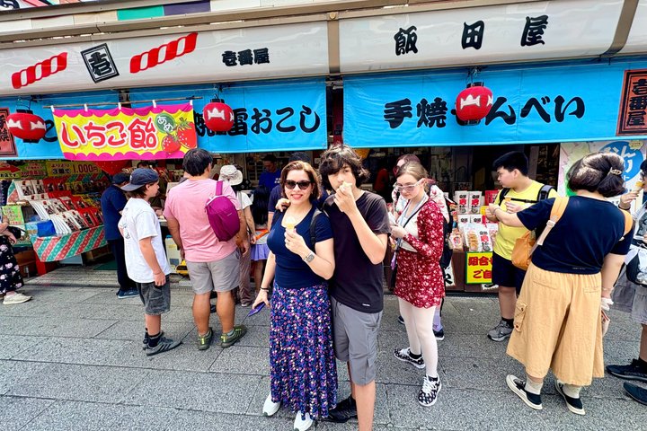 Tokyo Private Half-Day Highlights Tour by Car with Guide