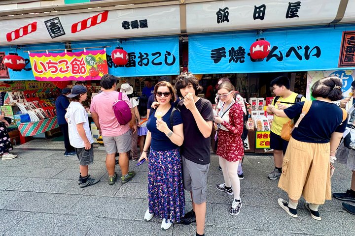 Tokyo Private Custom Tour by Car with Local Guide