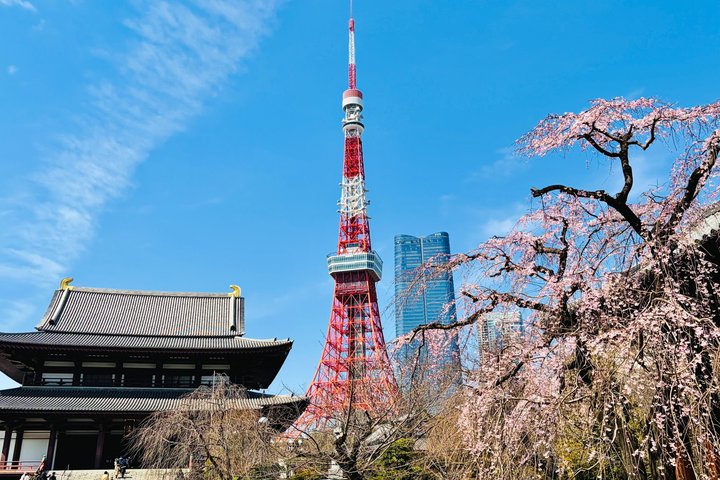 Tokyo Private Custom Tour by Car with Local Guide