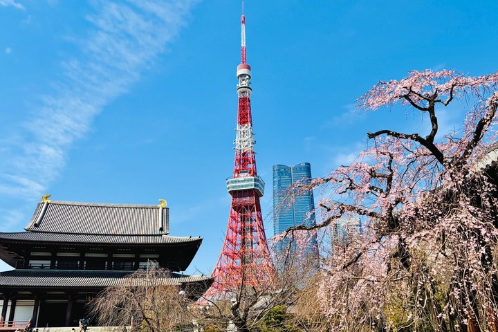 Tokyo Private Half-Day Highlights Tour by Car with Guide