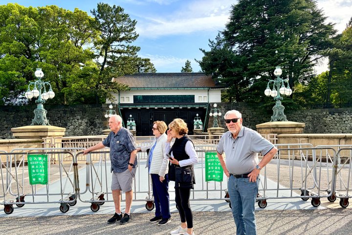 Tokyo Private Half-Day Highlights Tour by Car with Guide