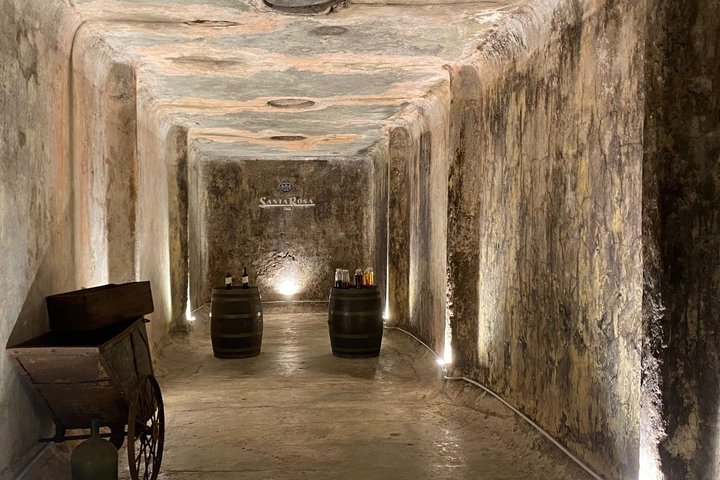 Montevideo Bodega Santa Rosa : tour - Tasting - Lunch