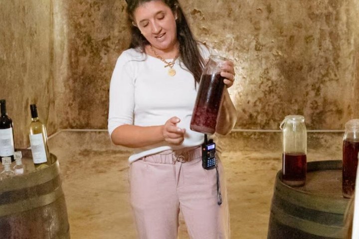 Montevideo Bodega Santa Rosa : tour - Tasting - Lunch
