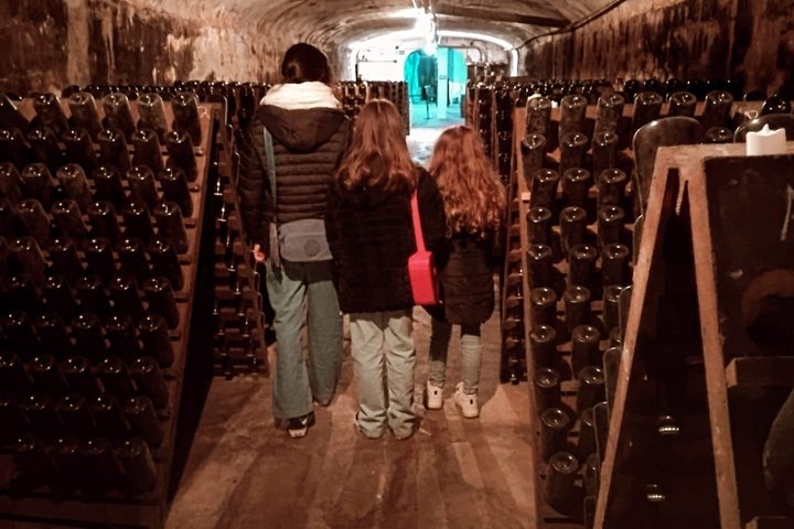 Montevideo Bodega Santa Rosa : tour - Tasting - Lunch
