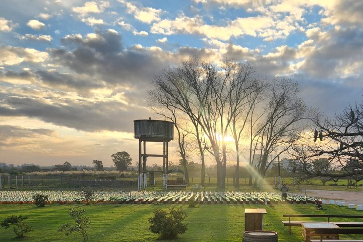 Montevideo Bodega Santa Rosa : tour - Tasting - Lunch
