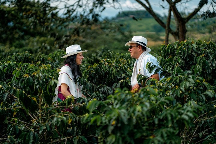 Coffee Tour at the Finca del Café