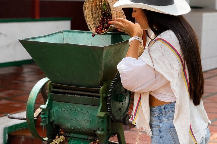 Coffee Tour at the Finca del Café