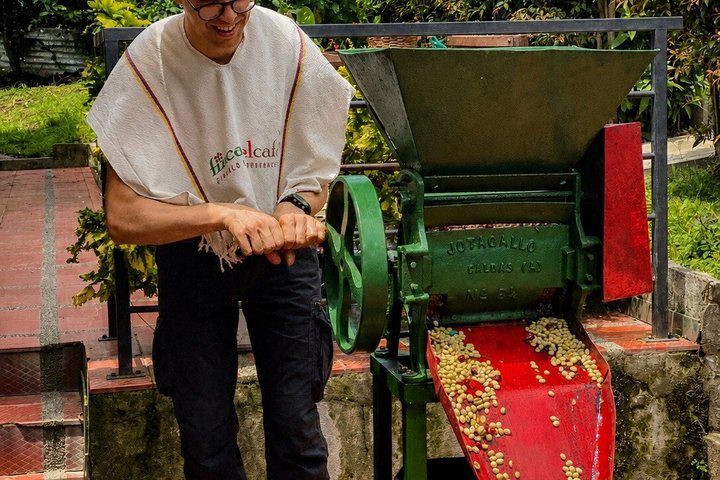 Coffee Tour at the Finca del Café