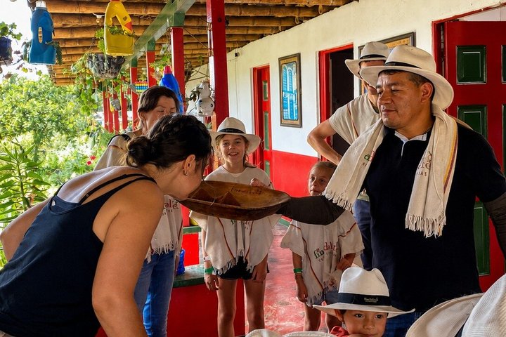 Coffee Tour at the Finca del Café