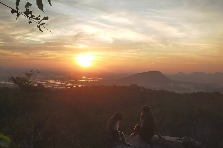 Half/Full Day Tuk Tuk : Bambootrain, Killing & Bat Caves,Sunset